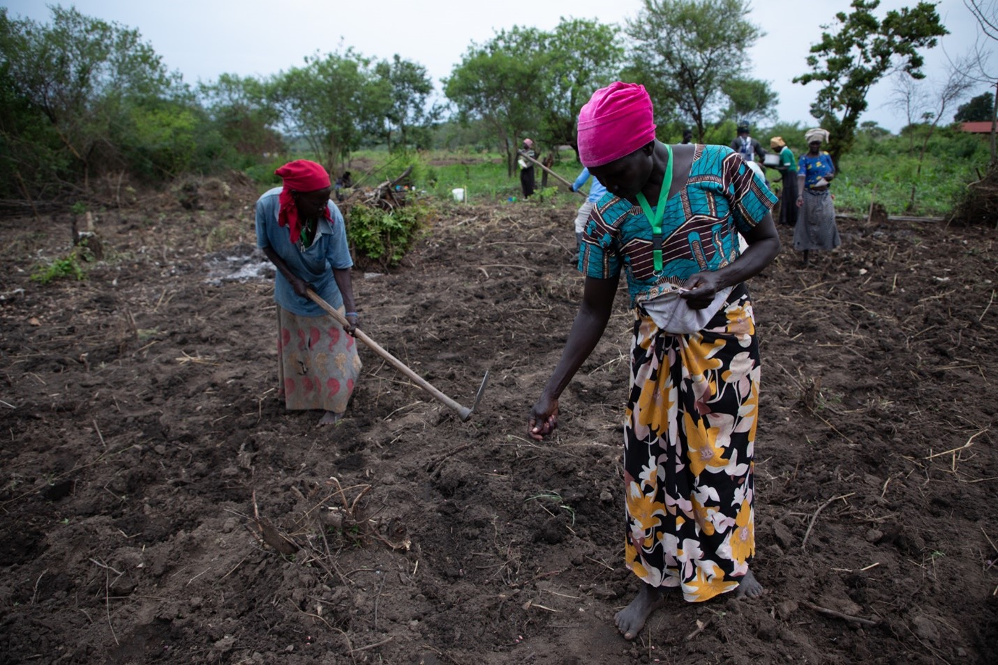 Parents at Mungufeni Home Learning Center sow maize seeds at a garden next to the school. The Center Management Commitee plans to harvest the crops to provide meals for learners at school and also support with scholastic materials