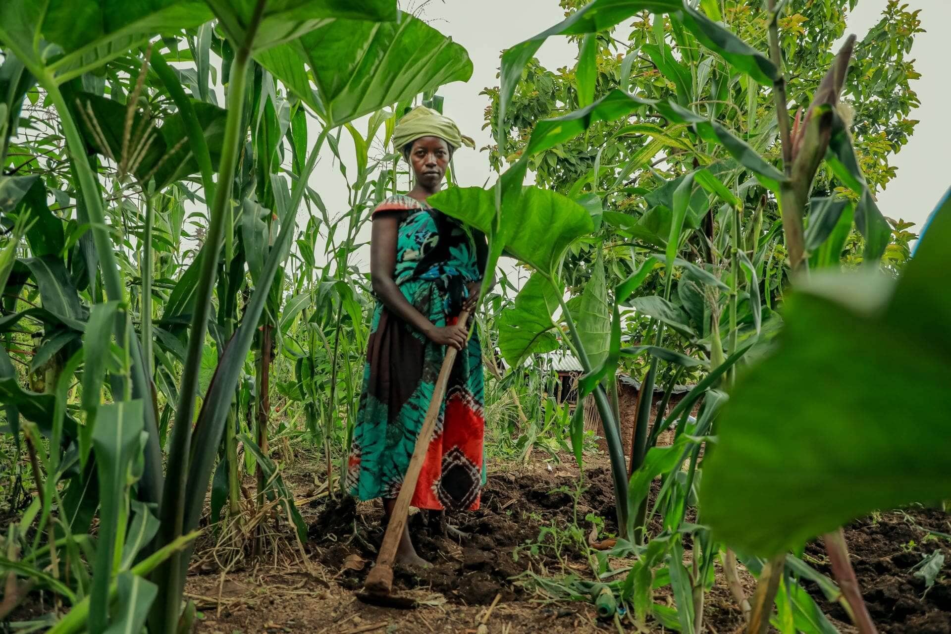 Jeanette in her garden at her home in Kyaka Refugee Settlements. The Kulea Watoto Project offers training and agricultural tools to help build sustainable livelihoods for both refugees and host communities