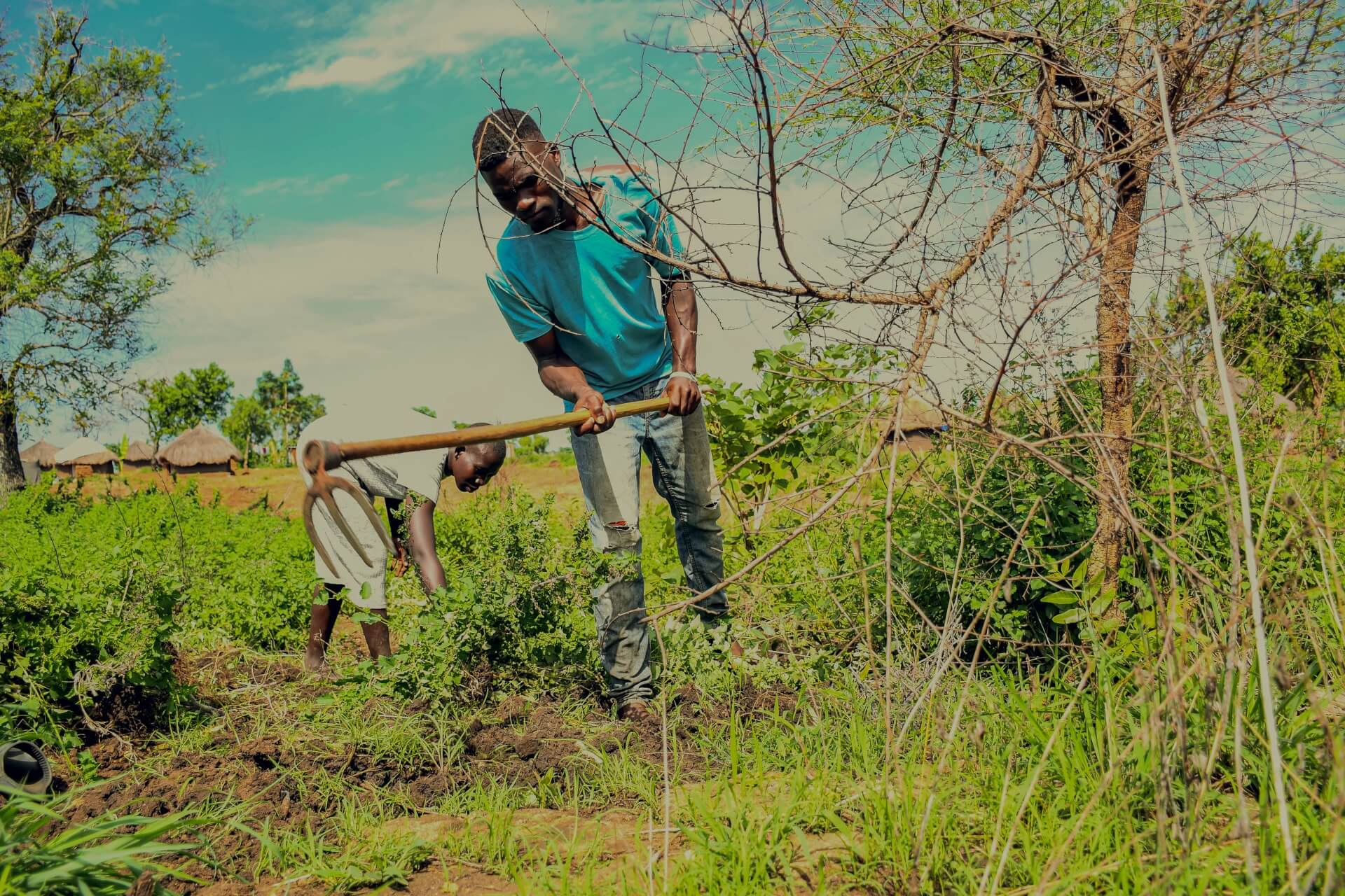 Phillip and his wife Jane tend to their garden. Following trainings in permaculture techniques, climate-resilient agriculture, and eco-friendly pest control methods the young couple can provide enough food for home consumption and sale 